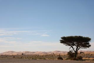 Hamda Retreat - 2