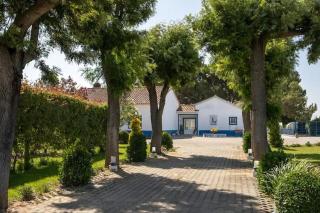 Chiron's Farm - 1