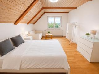 Bright apartment with large terrace & view of Krems - 4