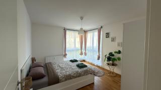Modern 2 Room Apartment with Balcony in Dresden - 7