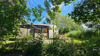Tiny House De Hagekrûper - 7