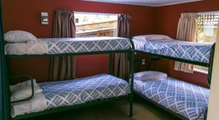 Kiwi's Nest Budget Accommodation & Backpackers - Dunedin - 2