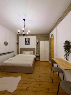 Sirul Livezii Studios - 0