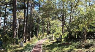 RedDoorz Hostel @ Baguio Tourist Cabin - 5