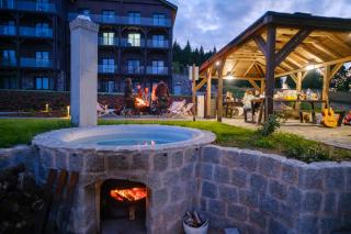 Willa Zieleniec - apartamenty z Ogrodem SPA - 3
