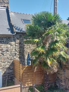 Maison, Binic centre, petite vue mer - 3