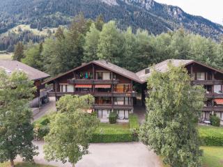 Cozy Diemtigtal Maisonette - Alpine Charm Parking - 0