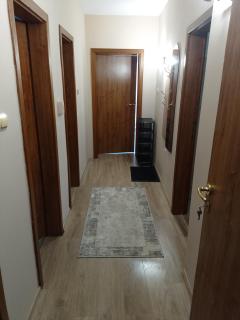 Мизия 28 - 8