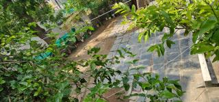 Happy HomeStay Standard - 3