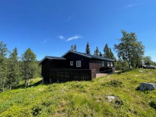 Breidablikk, Quiet Cabin Retreat Surrounded by Nature - Etnedal - 9