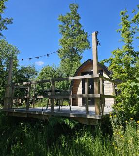 Tiny House De Kwekfink - 9
