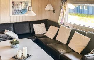 Huis In Hvide Sande Waar Huisdieren Welkom Zijn, - 2