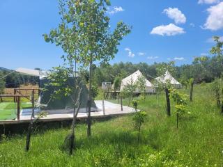 Nucsoara Glamping Cozy - 6