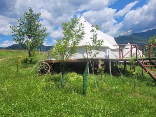 Nucsoara Glamping Cozy - 7