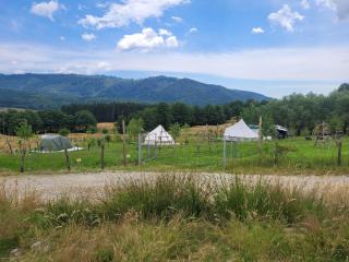 Nucsoara Glamping Cozy - 9
