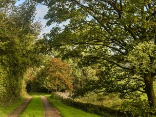 Quarry Cottage - Barnoldswick - 6