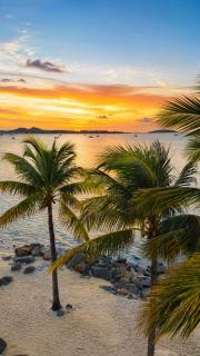 Studio PALM, vue mer et accès plage privée - 3