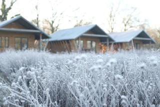 The Stacks Eco Cabins Ruckinge, Ashford Kent - 7