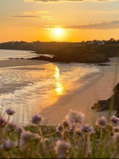 Ti Armelle, plages - parking - piscine commune - 5