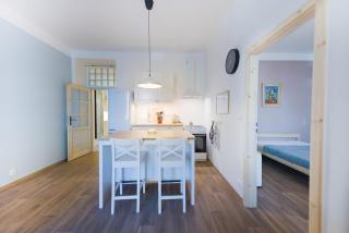 Symphony Apartment Close to the Historic Pilsen Center with Self Check in - 3