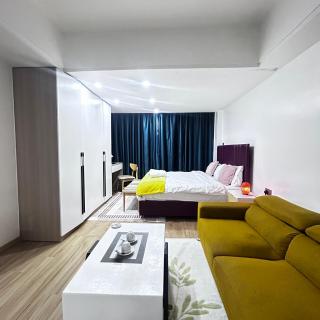 KILIMANI STUDIO WITH SWIMMING POOL,GYM,KIDS PLAY area - 6