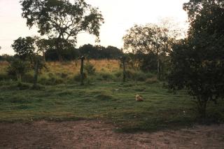 Casa em Sítio, 7km da Cidade - 4