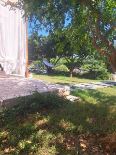 B&B Piccolo Vigneto - 3
