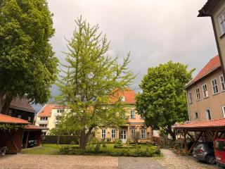Stilvolle Ferienwohnung im historischen Stadtschloss - 9