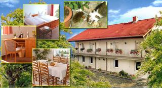 B&B -Pension Landhaus Lützen - 0