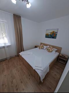 Codruta Home - 9