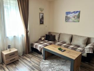 Central apartment - 4