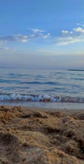 Tamchy House - 5
