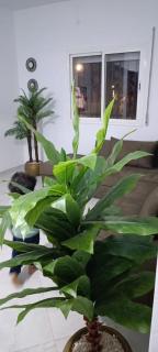 Maison céder - 1