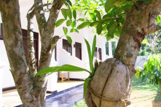 Garden Inn - 9