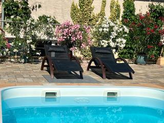 Ferienhaus mit Pool - Pension im Seußlitzer Grund - 7
