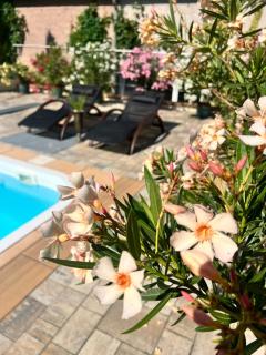 Ferienhaus mit Pool - Pension im Seußlitzer Grund - 8