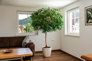 Ferienwohnung Anna Durbach - 2