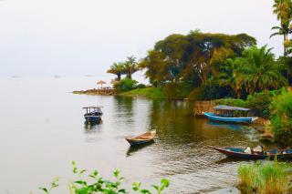 Chez Kivu - 3
