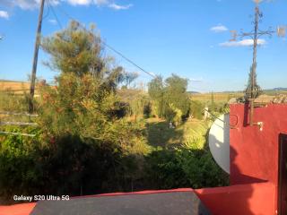 La Finca Roja 2 - 6