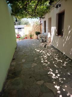 Antonia's house on the beach - 7