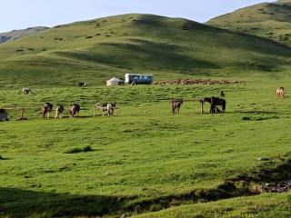 Bilalguesthouse - 5