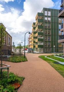 Modern apartment 5 minutes from ONS - 6