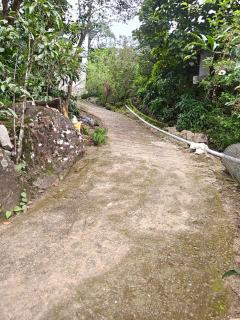 Soul Root Homestay vagamon - 6