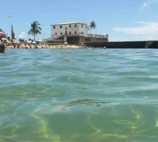 Hospede-se na Barra Próximo ao Farol e a Paria Salvador-Ba 1402 - 0