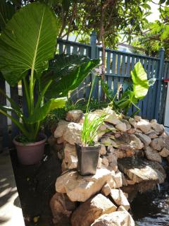 Casa Lila Lolol - 6