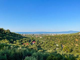 Sea view and olive trees - 9