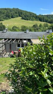 Dziupla Bieszczady - 8