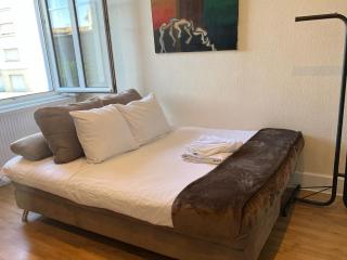 Le Cosy Strasbourg calme et confortable avec parking gratuit, 10 mn du Parlement Européen et du Wacken de 1 à 24 voyageurs - 1