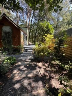 Enchanted garden - 8