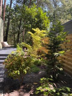 Enchanted garden - 2